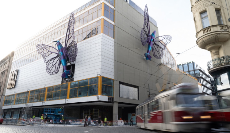 Motýli na pražském Máji mohou být další dva roky, povolil to úřad