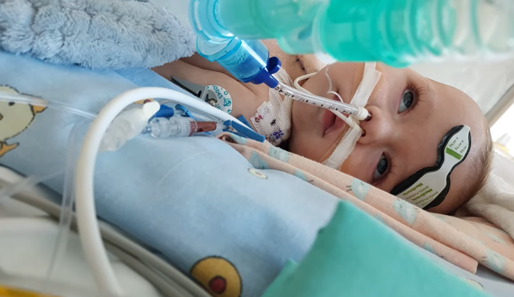 Lékaři z Motola zachránili život miminku s těžkým srdečním selháním: transplantace po roce na přístrojové podpoře