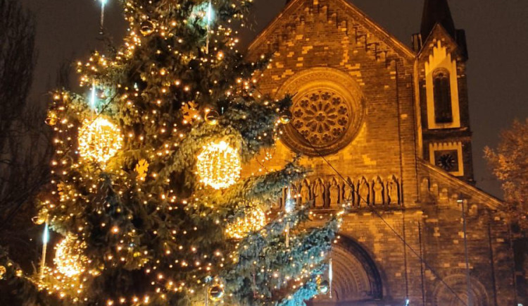 Strom Prahy 8 vyhrál už