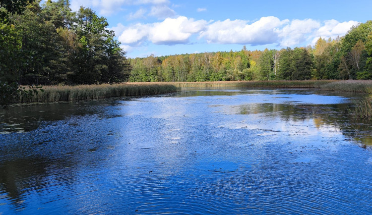 Plzeň za sedm milionů korun odbahní Malý Bolevecký rybník
