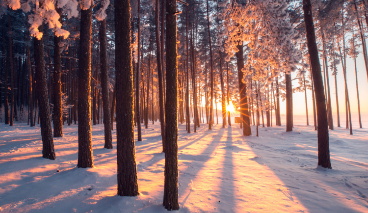 Tento týden se rtuť teploměru nad nulu nepodívá. Budeme si užívat jasnou oblohu