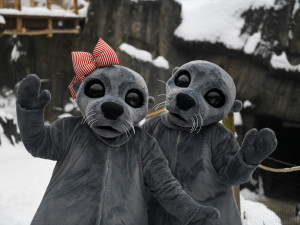 Praha představila maskoty dětské olympiády. Jsou to lachtani Bublinka a Hugo