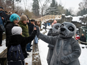 Praha představila maskoty dětské olympiády. Jsou to lachtani Bublinka a Hugo