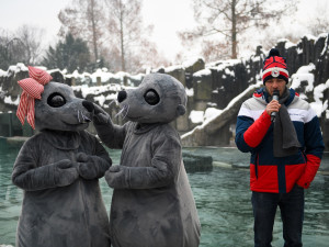 Praha představila maskoty dětské olympiády. Jsou to lachtani Bublinka a Hugo