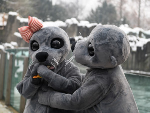 Praha představila maskoty dětské olympiády. Jsou to lachtani Bublinka a Hugo