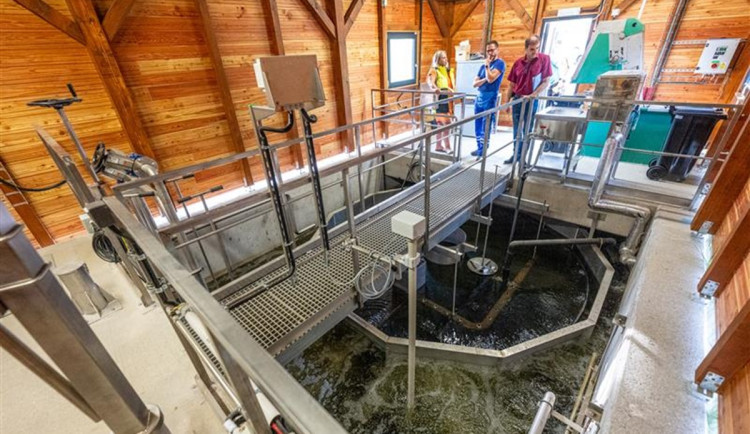 Černovice chtějí letos opravit čistírnu odpadních vod, je pro město příliš velká