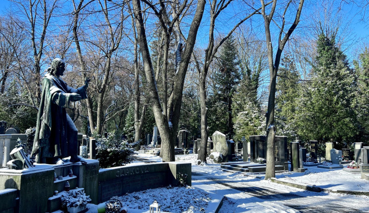 616171982_1320802036741525_5897251494474919296_n