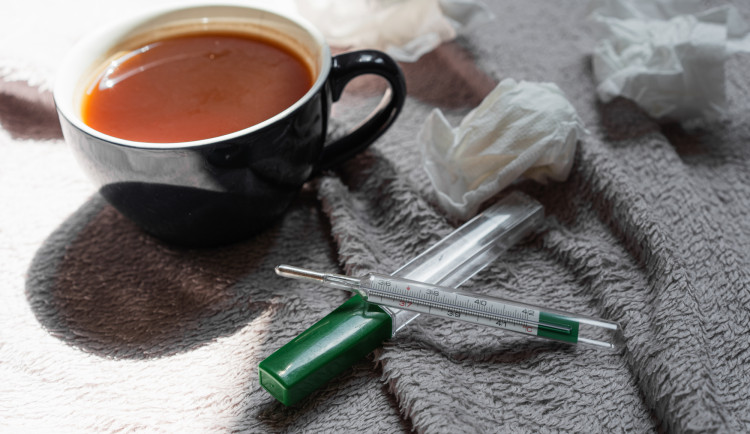 Nemocnice omezují návštěvy kvůli chřipkám. Zákaz platí v Olomouci a Přerově