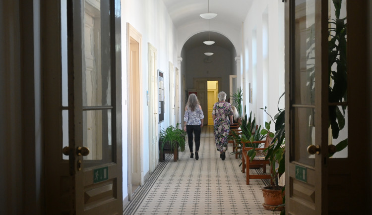 Tipy na víkend: Třešť a Polná ožije plesem. VŠPJ lidem ukáže své prostory