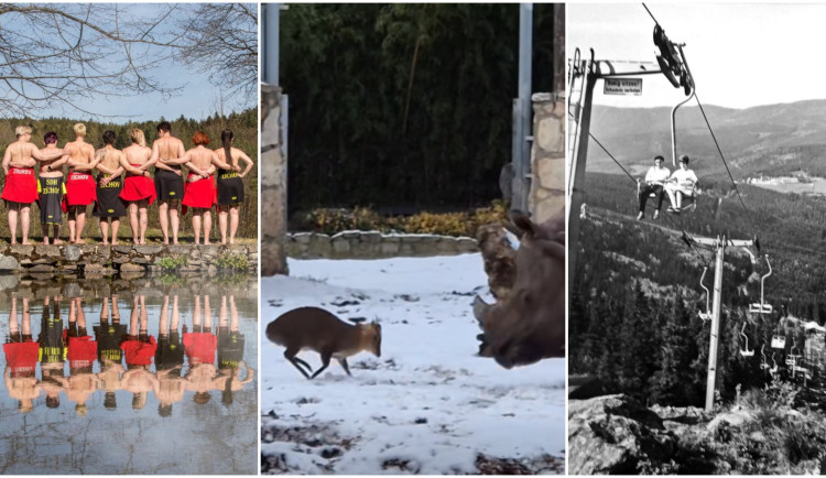 LEDEN 2026: Kalendář hasiček, provokující jelínek i zajímavost ze Šumavy