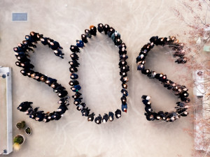 Výstava v Praze mapuje situaci ve Slovenské národní galerii po nástupu vlády