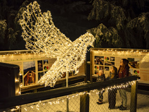 Kam se vydat na jarní prázdniny? No přece do jižních Čech