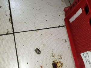 Plíseň, špína, žádný záchod. Restauraci v Praze kvůli desítce prohřešků hned zavřeli