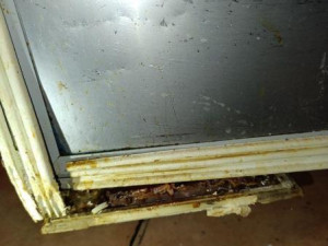 Plíseň, špína, žádný záchod. Restauraci v Praze kvůli desítce prohřešků hned zavřeli