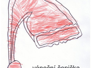 Prahu 3 znovu ozdobí vánoční světla podle návrhů dětí. Lidé je mohou vybírat už teď