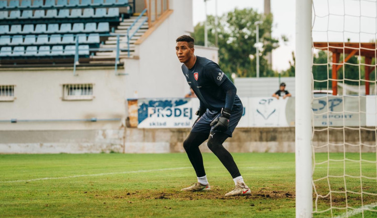 Další změny v kádru Dynama. Colin Andrew míří do Brna, obranu posílí portugalský stoper André Alves