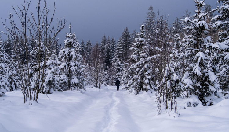 Kulturní tipy: Jižní Čechy ovládnou zimní vycházky a masopustní veselice