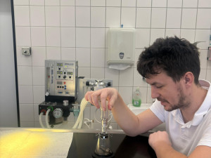 Žádný pacient není příliš malý. Veterináři pražského útulku operovali i křečíka