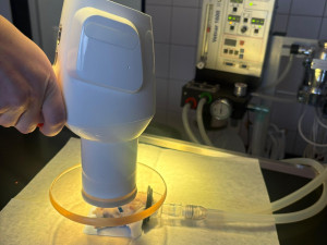 Žádný pacient není příliš malý. Veterináři pražského útulku operovali i křečíka