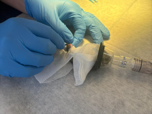 Žádný pacient není příliš malý. Veterináři pražského útulku operovali i křečíka