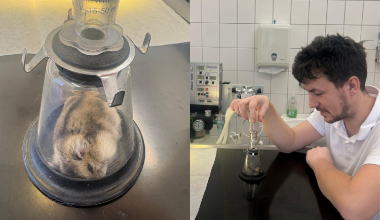 Křečíkovi museli amputovat nožku.