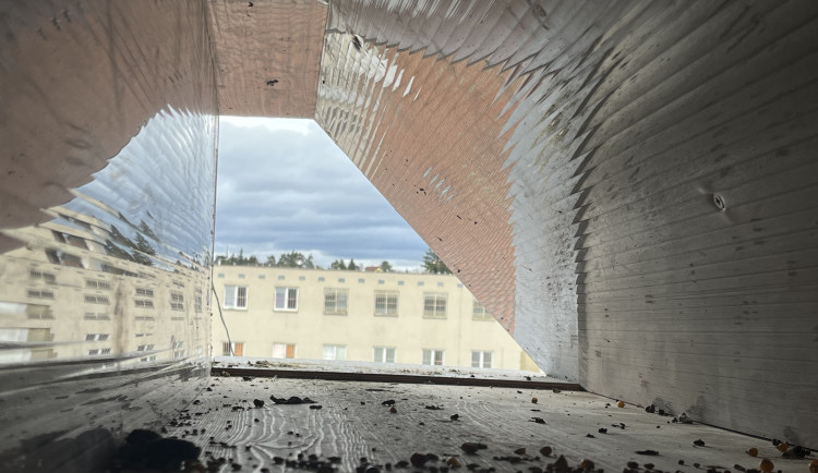 VIDEO: V Brně pozvali opeřence do věznice. Na půdě postavili holubník