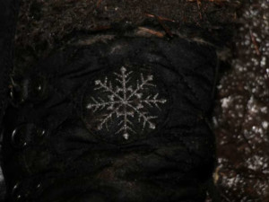 Záhada mrtvé ženy v lese u Prahy. U sebe měla jen jízdenku a sto korun