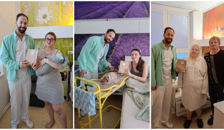 Valentýn v Jihlavě: Čáp přiletěl celkem čtyřikrát, jedno miminko mělo pět kilo