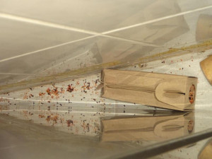 V restauraci u Karlova mostu běhali hlodavci, bobky našli i v kuchyni