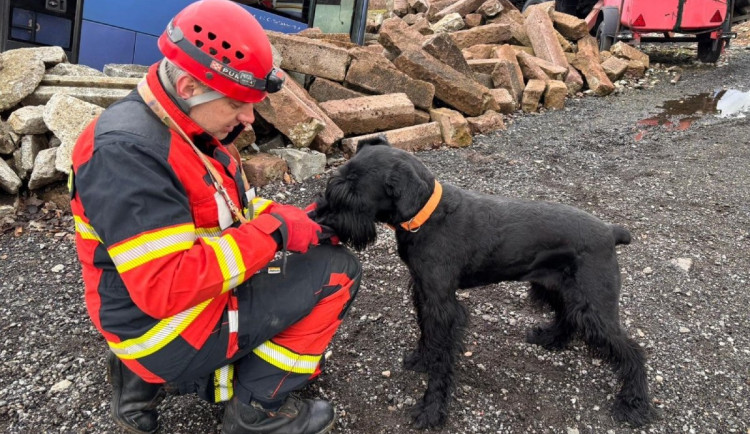 Psovodi od hasičů trénovali v Západních Tatrách, hledali nešťastníky v sutinách