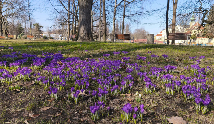 Nadprůměrně teplý týden na jihu Čech přinese jasnou oblohu i mlhavá rána