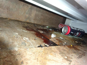 Večerka u Prahy byla plná myšího trusu. Hygienici ji dočasně uzavřeli