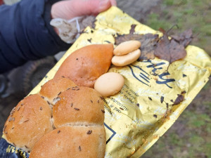 Letňany řeší krmení holubů. Radnice varuje před potkany, lidé chtějí efektivní řešení