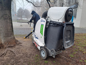 Letňany řeší krmení holubů. Radnice varuje před potkany, lidé chtějí efektivní řešení