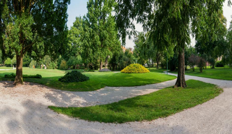 V Hradci Králové začal jarní úklid, zahradníci pokácí jasany u Klicperova divadla