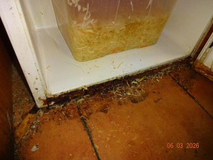 V restauraci v pražském nákupáku ignorovali úklid, zbytky jídla se vrstvily na podlaze