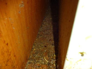 V restauraci v pražském nákupáku ignorovali úklid, zbytky jídla se vrstvily na podlaze