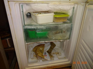 V restauraci v pražském nákupáku ignorovali úklid, zbytky jídla se vrstvily na podlaze