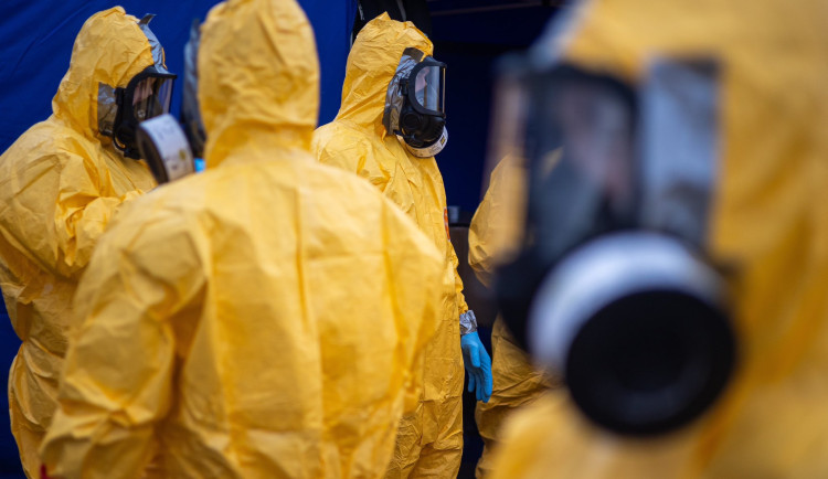 Na Hradecku začne vybíjení dvou chovů kachen zasažených ptačí chřipkou