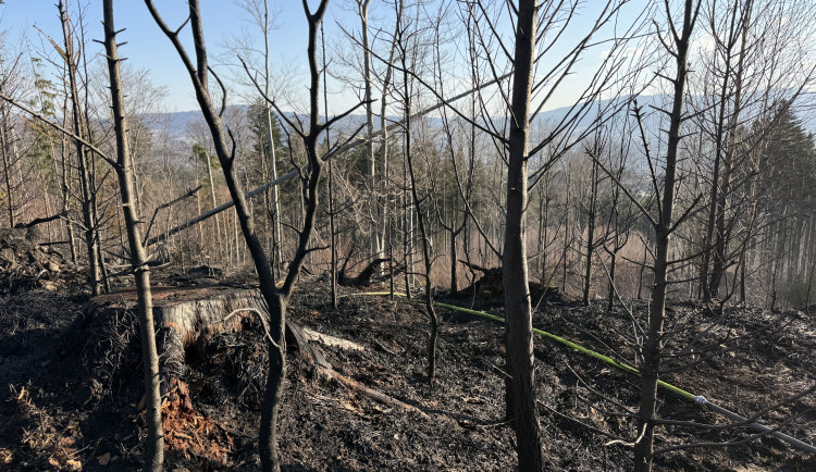 VIDEO: I malá nedbalost vede k živelné katastrofě, varují hasiči. Požárů v přírodě přibývá