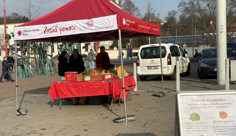 Jarní sbírka podpoří Brňany v těžké situaci, dárci si odnesou semínko k zasazení