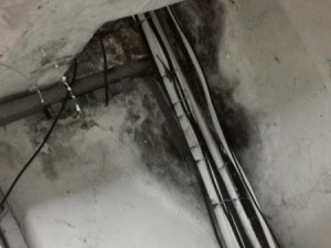 Potraviny v Sapě ovládla plíseň a hlodavci, obchod inspektoři na místě zavřeli