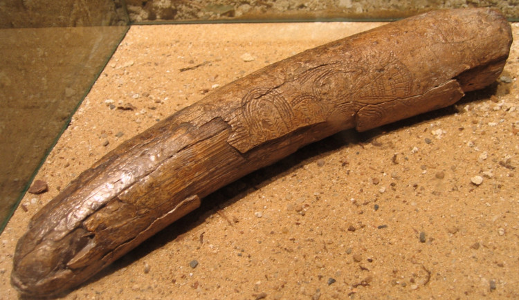 Do Brna se vrátila vzácná venuše, kvůli převozu ji pojistili na dvacet milionů