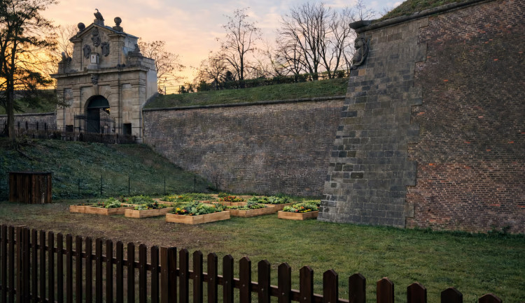 Zahradničení na Vyšehradě. Pevnostní zahrada nabídne záhony k pronájmu