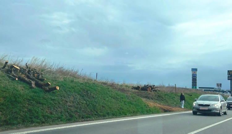 FOTO: Poblíž jihlavského Aventinu zmizely stromy. Vznikne tam nová křižovatka