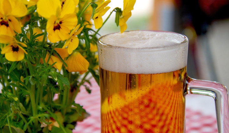 Mnozí řidiči o svátcích pili. Jeden z nich v Mikulově srazil ženu s kočárkem