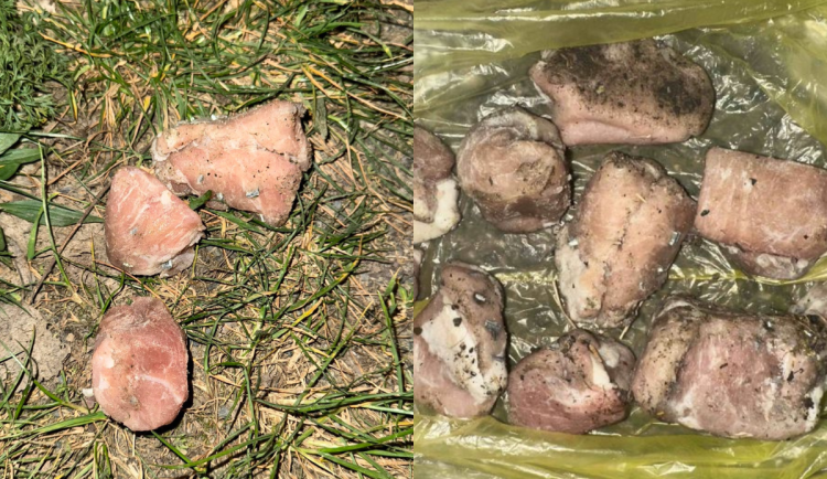 V Holešovicích řádí vrah psů. V parku poházel kusy masa plné hřebíků