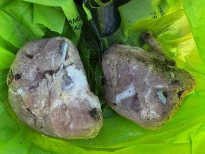 V Holešovicích řádí vrah psů. V parku poházel kusy masa plné hřebíků