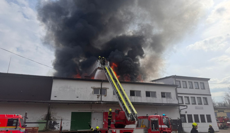 Na Žižkově hoří ubytovna, hasiči zachraňují lidi pomocí žebříků