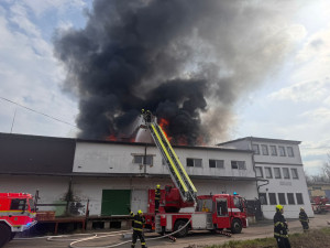 Hasiči zachraňují lidi pomocí žebříků